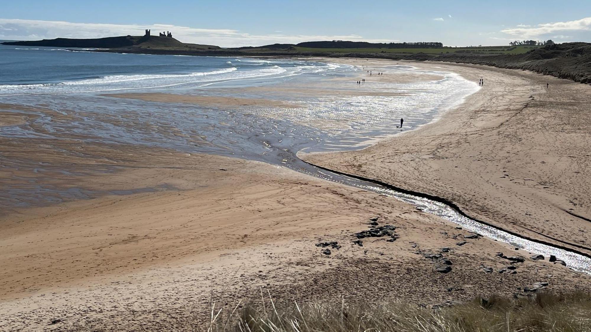 St Hilda Beach Hut Alnmouth Exteriör bild