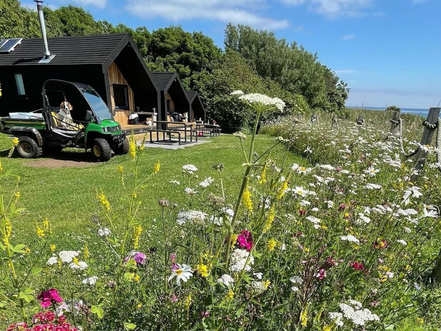 St Hilda Beach Hut Alnmouth Exteriör bild